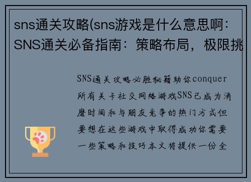 sns通关攻略(sns游戏是什么意思啊：SNS通关必备指南：策略布局，极限挑战)